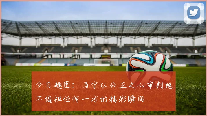 今日趣图：马宁以公正之心审判绝不偏袒任何一方的精彩瞬间